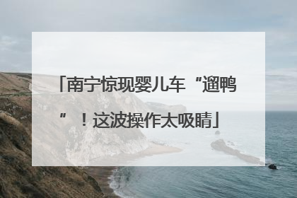 南宁惊现婴儿车“遛鸭”！这波操作太吸睛