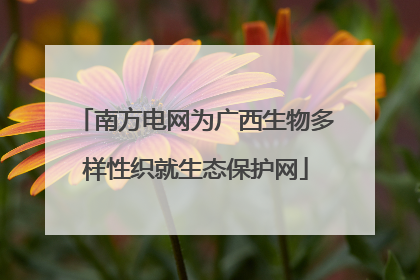 南方电网为广西生物多样性织就生态保护网