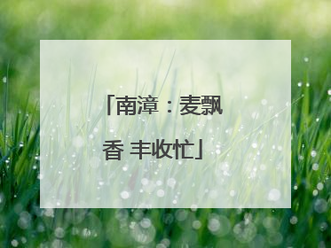 南漳：麦飘香 丰收忙