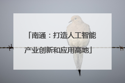南通：打造人工智能产业创新和应用高地