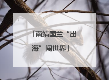 南靖国兰“出海”闯世界