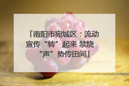 南阳市宛城区：流动宣传“转”起来 禁烧“声”势传田间