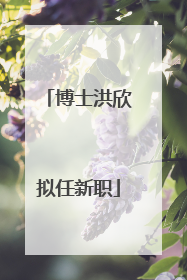 博士洪欣拟任新职