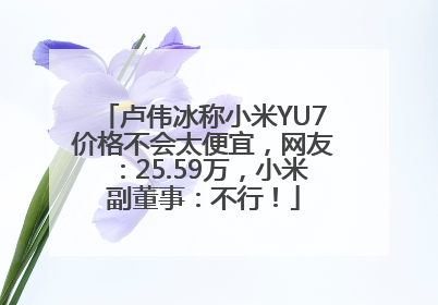 卢伟冰称小米YU7价格不会太便宜，网友：25.59万，小米副董事：不行！