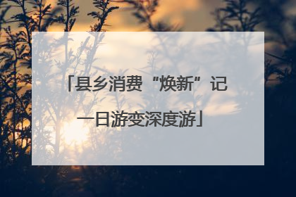 县乡消费“焕新”记 一日游变深度游