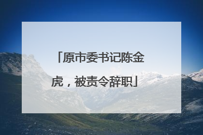原市委书记陈金虎，被责令辞职