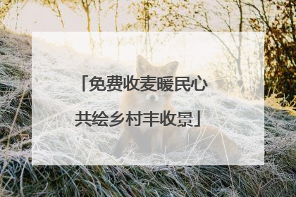 免费收麦暖民心 共绘乡村丰收景