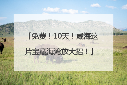免费！10天！威海这片宝藏海湾放大招！
