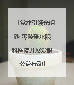 党建引领光明路 零陵爱尔眼科医院开展爱眼公益行动