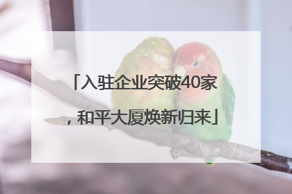 入驻企业突破40家，和平大厦焕新归来