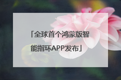 全球首个鸿蒙版智能指环APP发布