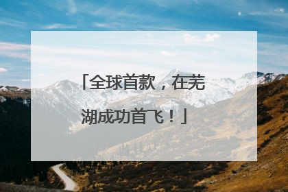 全球首款，在芜湖成功首飞！