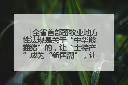 全省首部畜牧业地方性法规是关于“中华熊猫猪”的，让“土特产”成为“新国潮”，让“农产品”升格为“城市IP”