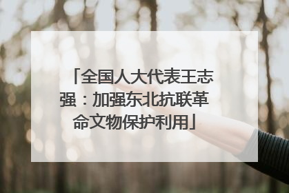 全国人大代表王志强：加强东北抗联革命文物保护利用
