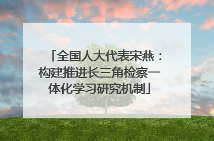 全国人大代表宋燕：构建推进长三角检察一体化学习研究机制