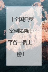 全国典型案例揭晓！平谷一例上榜