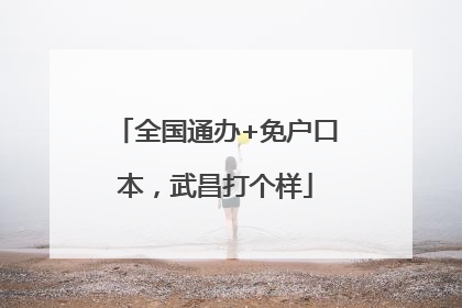 全国通办+免户口本，武昌打个样