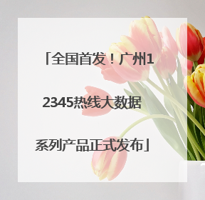 全国首发！广州12345热线大数据系列产品正式发布