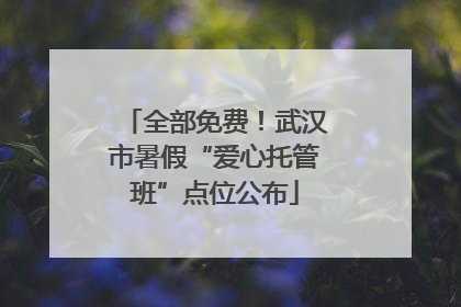 全部免费！武汉市暑假“爱心托管班”点位公布