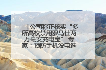 公司称正核实“多所高校禁用罗马仕两万毫安充电宝” 专家：预防手机没电选中等体积产品即可