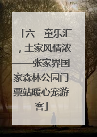 六一童乐汇，土家风情浓——张家界国家森林公园门票站暖心宠游客