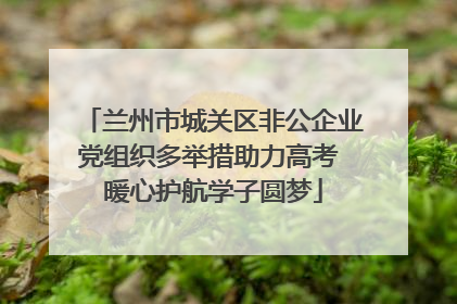 兰州市城关区非公企业党组织多举措助力高考 暖心护航学子圆梦