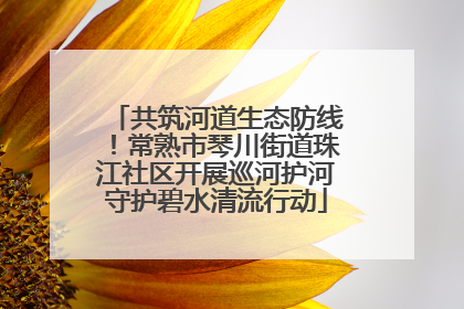 共筑河道生态防线！常熟市琴川街道珠江社区开展巡河护河守护碧水清流行动