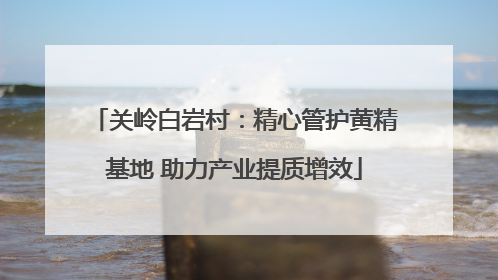 关岭白岩村：精心管护黄精基地 助力产业提质增效