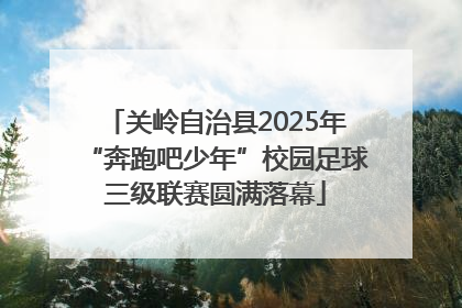 关岭自治县2025年“奔跑吧少年”校园足球三级联赛圆满落幕