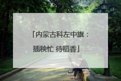 内蒙古科左中旗：插秧忙 待稻香