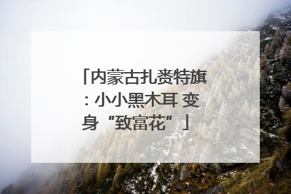 内蒙古扎赉特旗：小小黑木耳 变身“致富花”