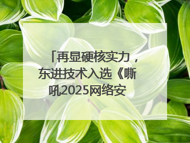 再显硬核实力，东进技术入选《嘶吼2025网络安全产业图谱》