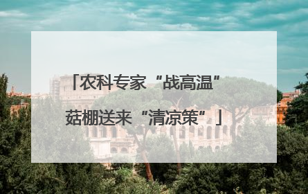 农科专家“战高温” 菇棚送来“清凉策”