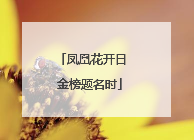 凤凰花开日 金榜题名时