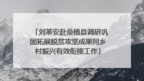 刘革安赴桑植县调研巩固拓展脱贫攻坚成果同乡村振兴有效衔接工作