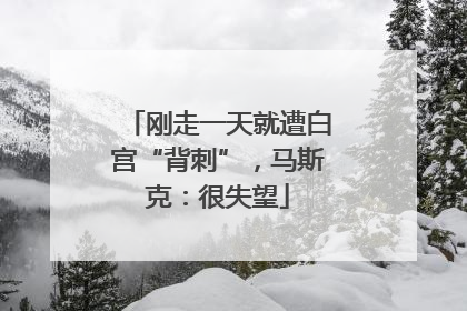 刚走一天就遭白宫“背刺”，马斯克：很失望