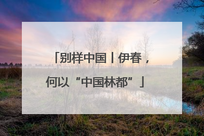别样中国丨伊春，何以“中国林都”