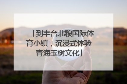 到丰台北粮国际体育小镇，沉浸式体验青海玉树文化