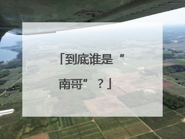 到底谁是“南哥”？