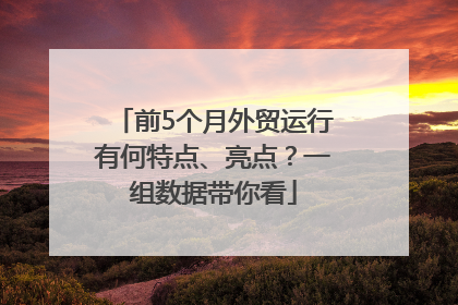 前5个月外贸运行有何特点、亮点？一组数据带你看