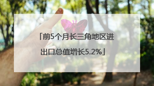 前5个月长三角地区进出口总值增长5.2%