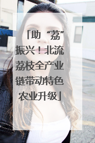 助“荔”振兴！北流荔枝全产业链带动特色农业升级