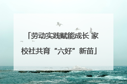 劳动实践赋能成长 家校社共育“六好”新苗