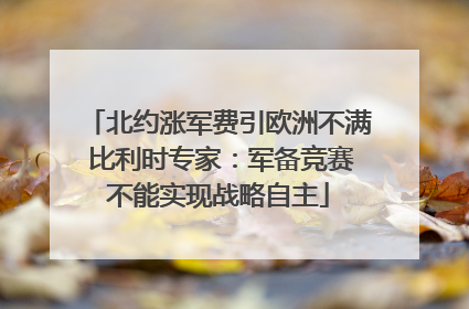 北约涨军费引欧洲不满 比利时专家：军备竞赛不能实现战略自主