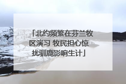 北约频繁在芬兰牧区演习 牧民担心惊扰驯鹿影响生计