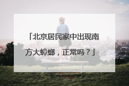 北京居民家中出现南方大蟑螂，正常吗？