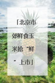 北京市郊鲜食玉米抢“鲜”上市