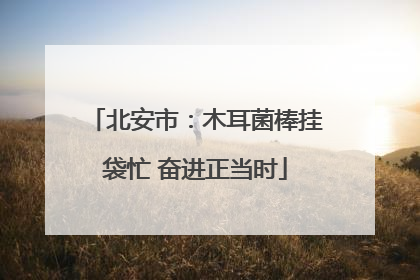 北安市：木耳菌棒挂袋忙 奋进正当时