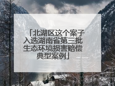 北湖区这个案子入选湖南省第三批生态环境损害赔偿典型案例