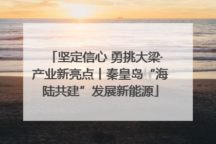 坚定信心 勇挑大梁·产业新亮点丨秦皇岛“海陆共建”发展新能源